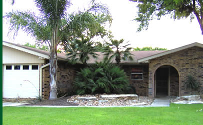 Palm Landscaping