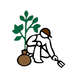 Green Acres Landscape and Irrigation, New Braunfels, TX